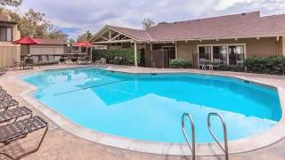 Raintree Homes Apartments in Brea CA - ForRent com