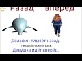 № 56  Русский с нуля : к, вокруг, от, вперёд...- предлоги направления.