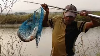 Fish hunting || Incredible fishing,Amazing catching the big rohu fish,best hook fishing