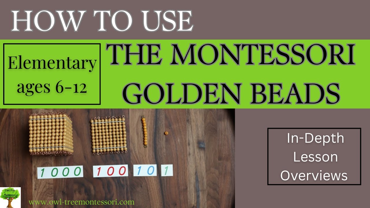 How To Use the Montessori Golden Beads