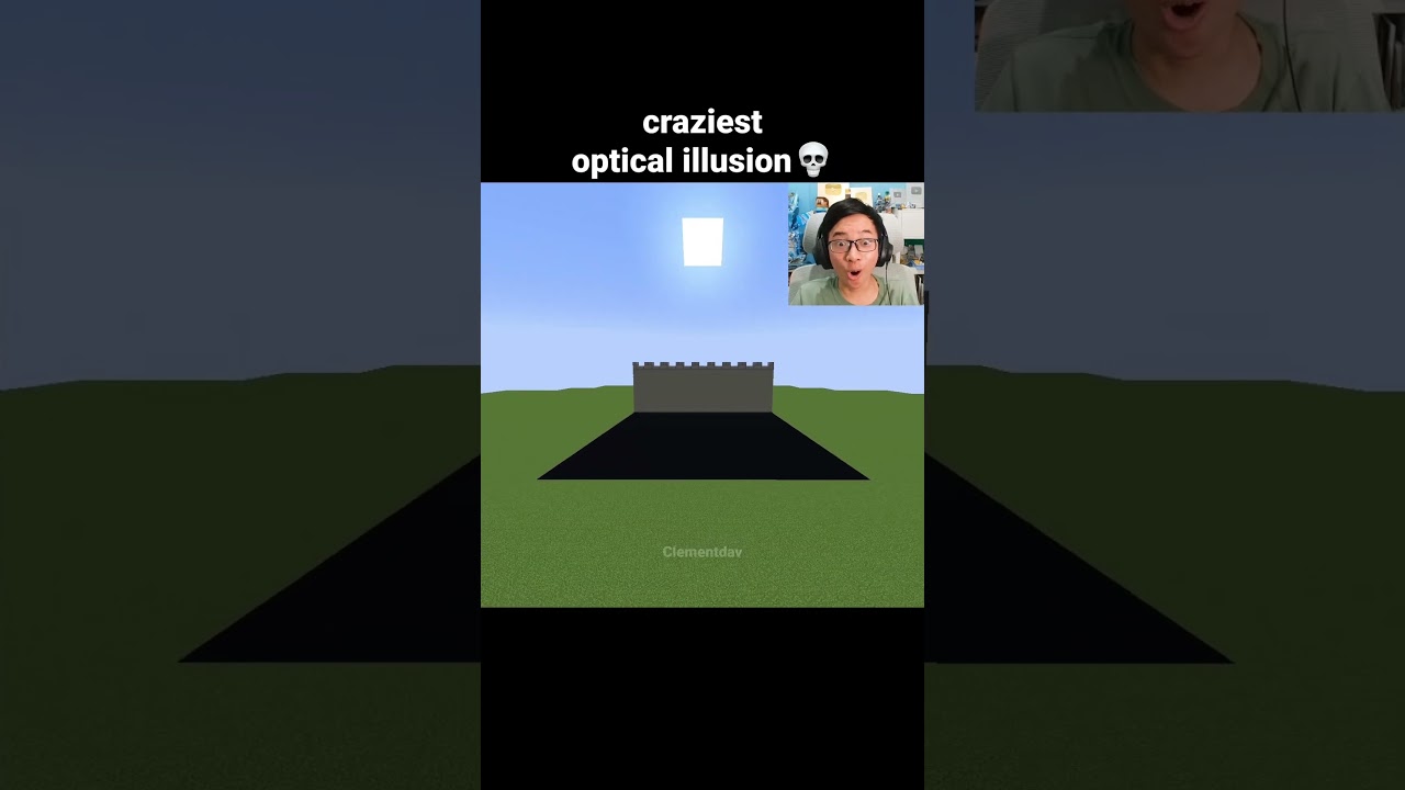 Minecraft Optical Illusion Moment