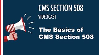 Video #1 -  The Basics of CMS Section 508 Wealth