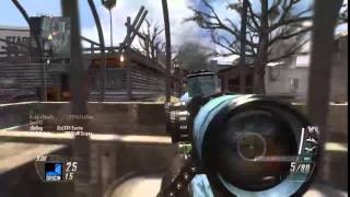 Another Quad Feed! (BO2)