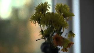 My Showreel 2014