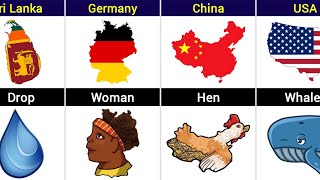Countries Map That Looks Like Pictures | Amazing World Map Illusion Compilation 🌍