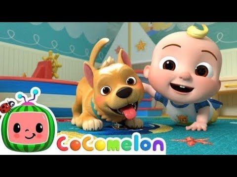 Pet Care Song | #CoComelon #Nursery #Rhymes & #KidsSongs