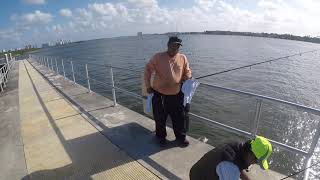 Mako test run