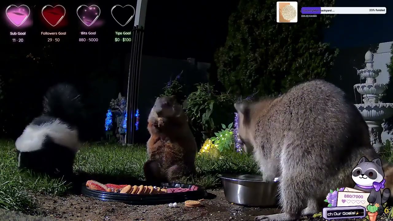 🌻☀️🐝💐🌷 Summer Has Arrived & The Baby Groundhogs! 🌻☀️🐝💐🌷 