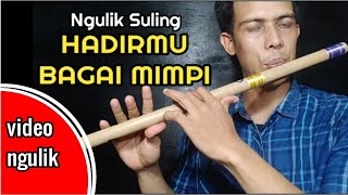 Hadirmu Bagai Mimpi \