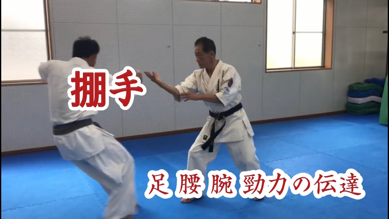 掤手　Tai Chi Chuan　Lan Que wei