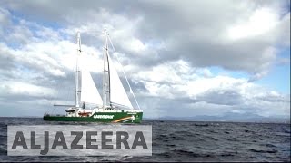 Save the seas: Greenpeace campaigns to protect Chilean marine life