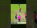 Hazlewood