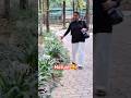 Nature #trending #youtubeviral #foryou