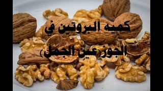 كميه البروتين في الجوز(عين الجمل)