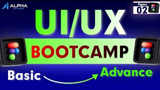 Alpha Intern UI/UX Bootcamp Day 2: Kickstart Your Design Journey Today! 🚀 Net Worth
