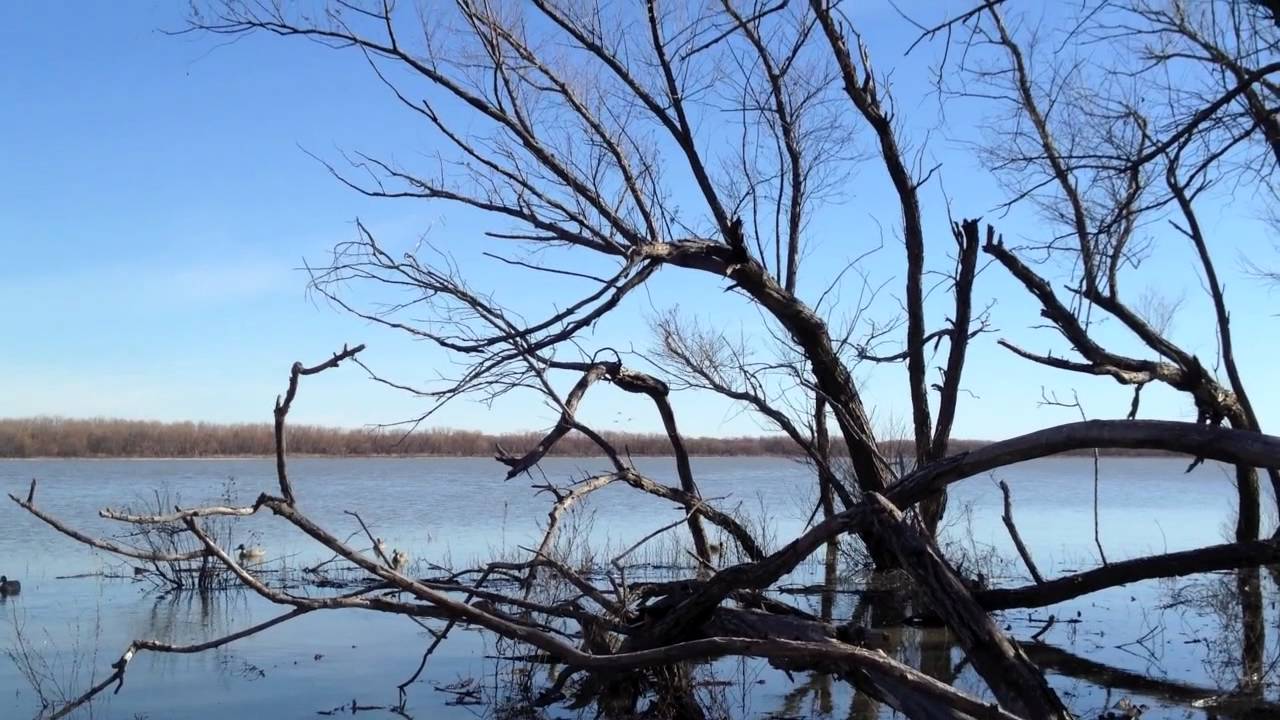 2012 Oklahoma Duck Hunt. All of this HD video was shot with an IPhone