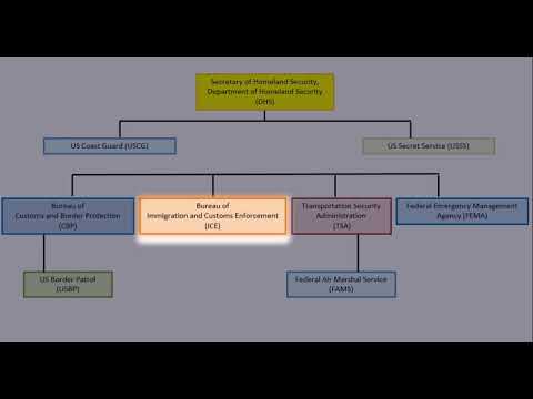 Dhs Org Chart