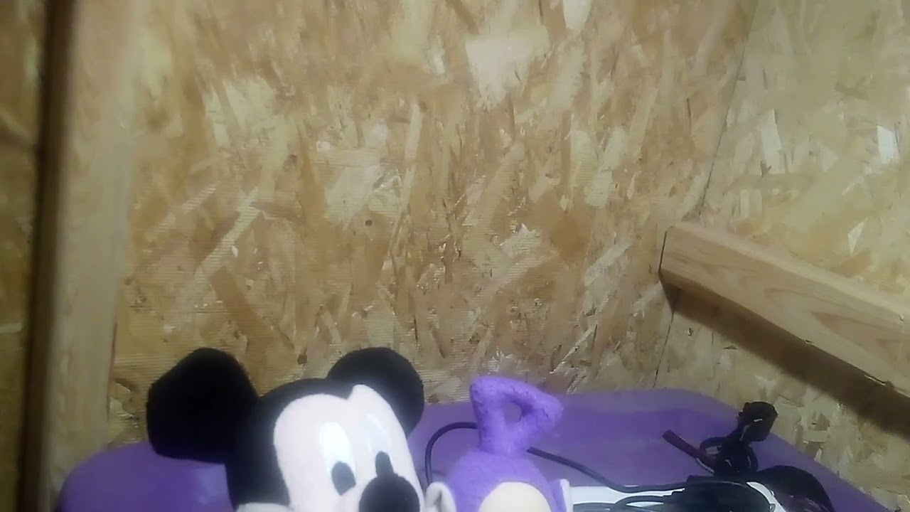 Mickey Mouse and Friends Segment: Meets Leaf and Azure + Magical Event: The Magic Train