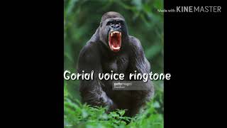 Gorilla voice ringtone /ÇR Çréátívé