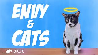 Do Other People's Cats Fill You With Envy?
