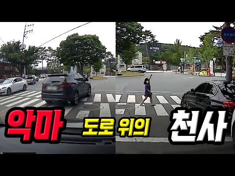 <strong>어른들이</strong> 이 아이만큼만 한다면 교통사고가 없어질지도...