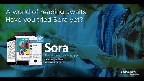 Sora: How To Search and Check Out eBooks