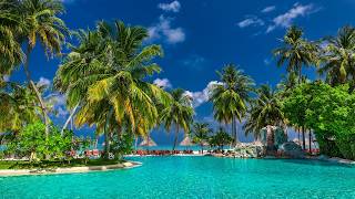 Chill Ocean Bossa Nova: Relaxing Music and Beach Vibes for Relaxation, Stress Relief