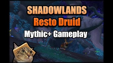 Resto Druid Shadowlands Beta Gameplay - Halls of Attonement Preview