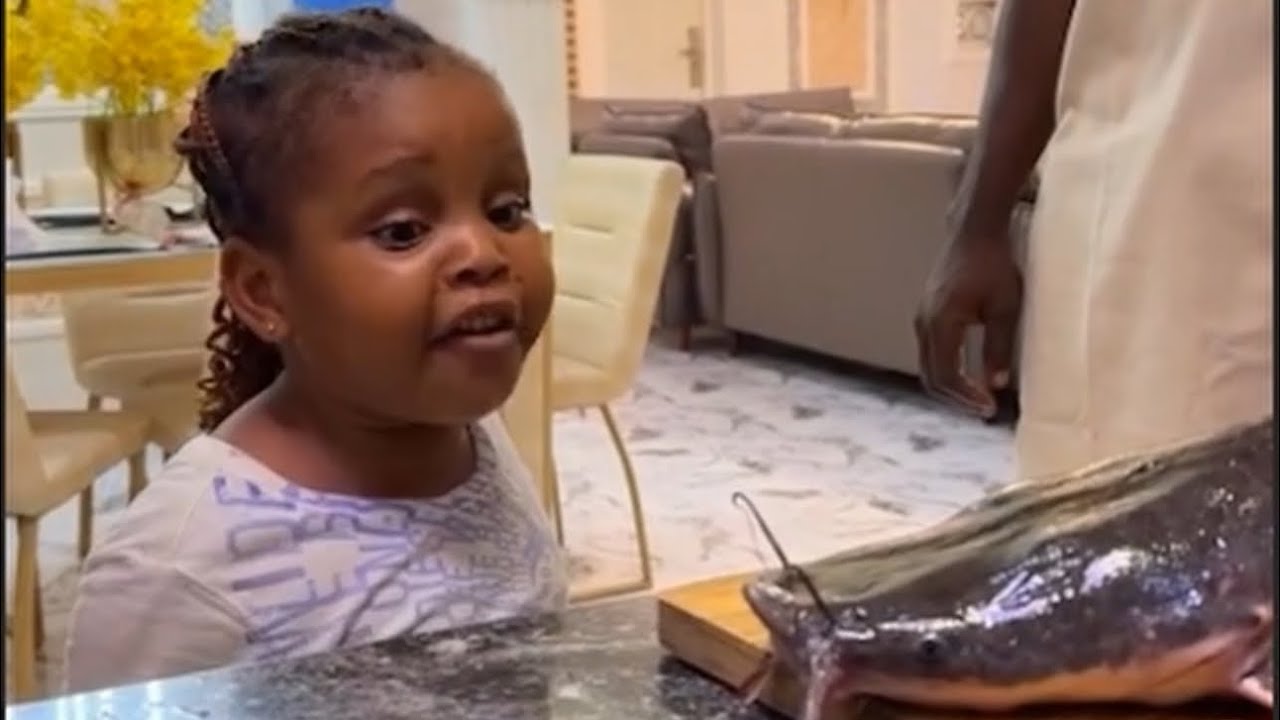 MUMMY THIS IS NOT FISH