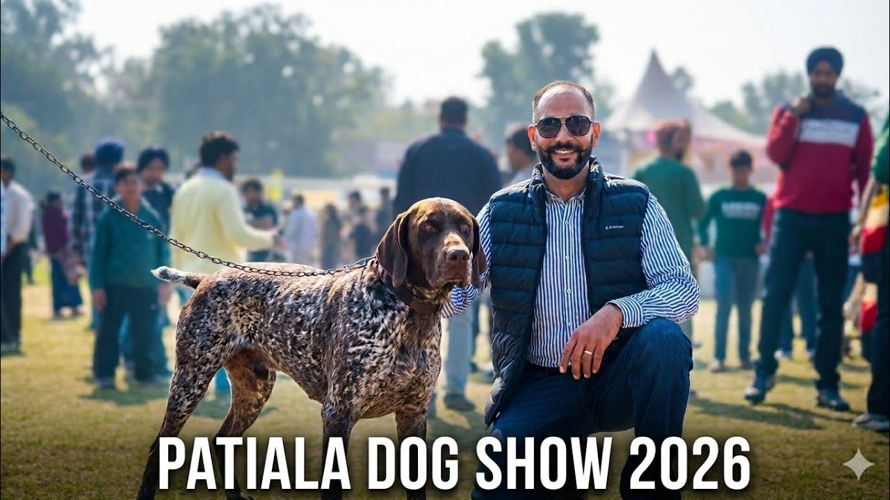 Patiala #dog show #Apollo ground. 🐶 #viralvideo 