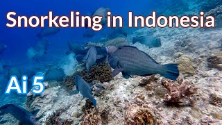 Ai, Banda Ep.5 - 4K Snorkeling in Indonesia