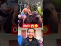 OMG 😱 Hathi ke upar hathni 🤣 #ytshorts #viral #shorts