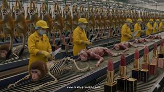 Inside Modern Factory Monkey Fat To Luxury Nail Polish Full Process