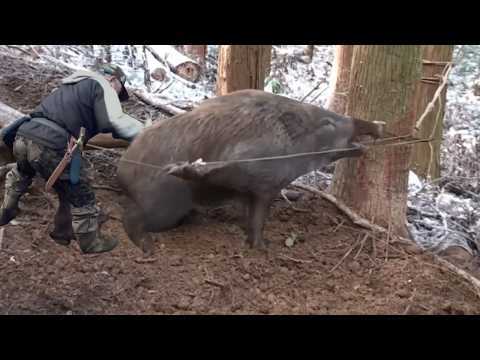 79-year-old trapper] The dark side of 9.5 million yen for bird and