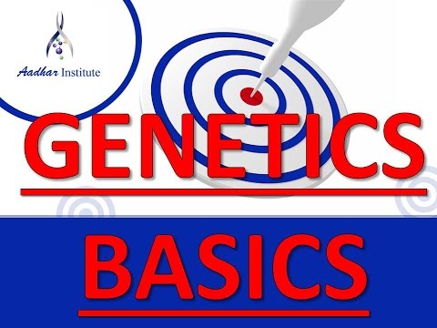genetics BASICs demo class - YouTube