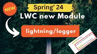 Introducing Lightning Logger: Elevating Debugging in LWC with Salesforce Spring '24 Release screenshot 3