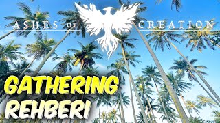 Gathering Rehberi | Ashes Of Creation Türkçe - 6.bölüm