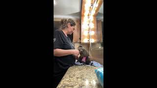 Monkey Xoe Belle bedtime routine. #monkey #animals #monkeymommababy #cute #petmonkey #monkeymoments
