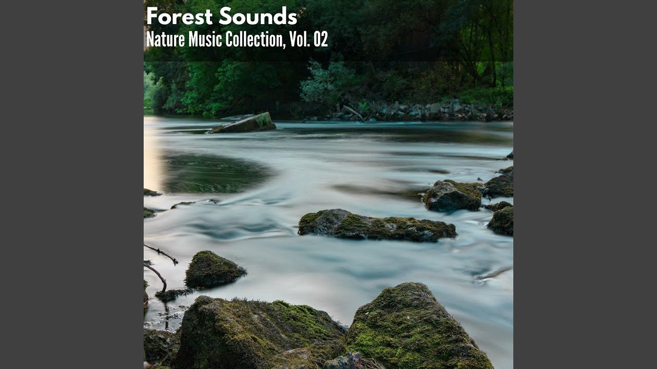 Colours of Happiness at Tropical Chorus