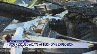 Crews react to finding, rescuing dog presumed dead in Haymarket house explosion