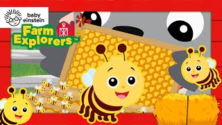 new senses bees farm explorers baby einstein education learning