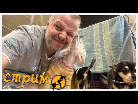 Вечерний стрим, отвечаем на ваши вопросы, делимся новостями 30.01.2026