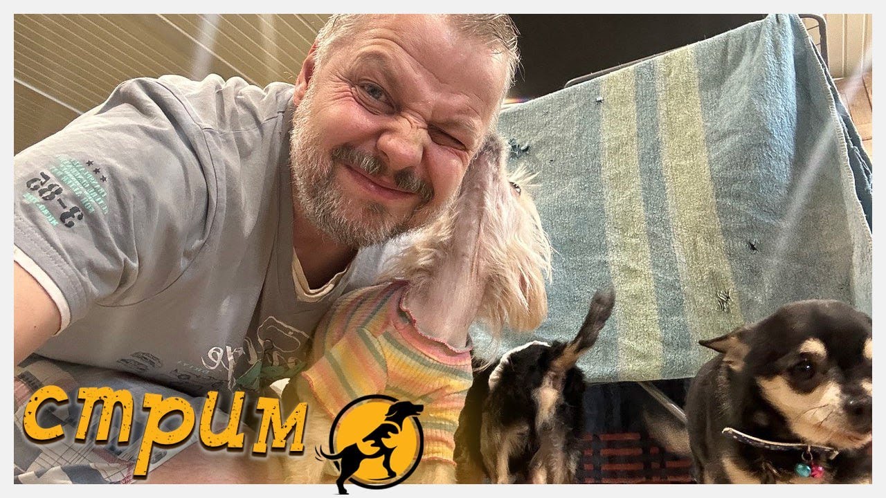 Вечерний стрим, отвечаем на ваши вопросы, делимся новостями 30.01.2026