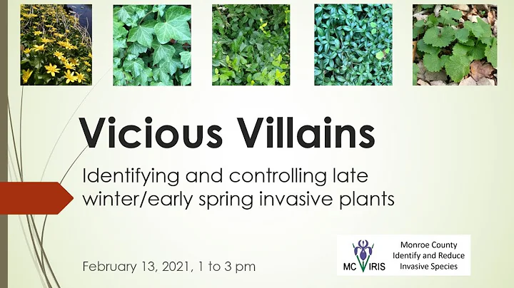 Vicious Villains Weed Lab - Winter Invasive Plants