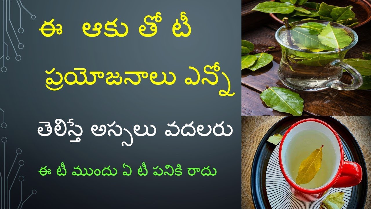 Bay Leaf Tea benefits in Telugu I బిర్యానీ ఆకు Tea Biryani leaves weight loss drink Telugu