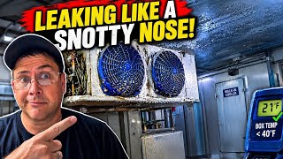 Walk-In Cooler Leaking Like a Snotty Nose!