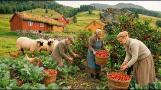 Download Lagu Quiet Life in the Village | A Peaceful Harvest by Hand | Simple Farm Living (ASMR) MP3