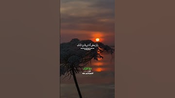 فواتح سورة الفرقان_تلاوة عذبة بصوت الشيخ فارس عباد_#quran #اكسبلور #المصحف