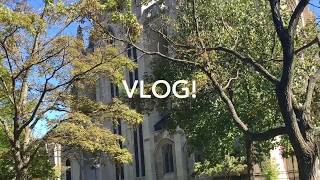 A Day in the Life: Pitt