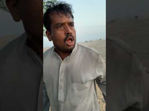 شبت بين بوراشد وجليل